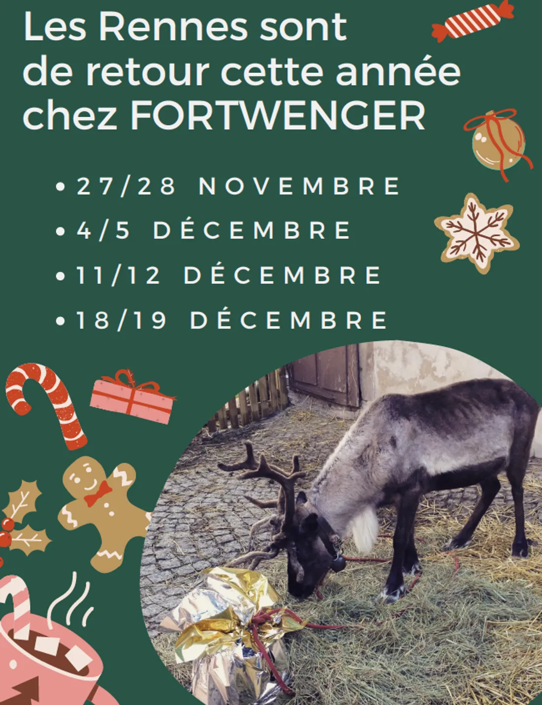 Rennes Fortwenger
